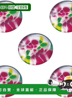 【日本直邮】ADERIA冬款玻璃筷架5入南天F62190筷子架