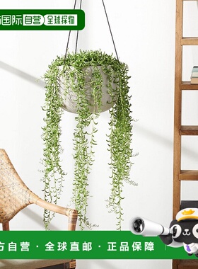 自营 safaviehRancer 花盆 - 浅灰色 美国奥莱直发