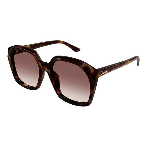 Chloe 蔻依 女士 -sunglasses 太阳镜 CH0280S006H