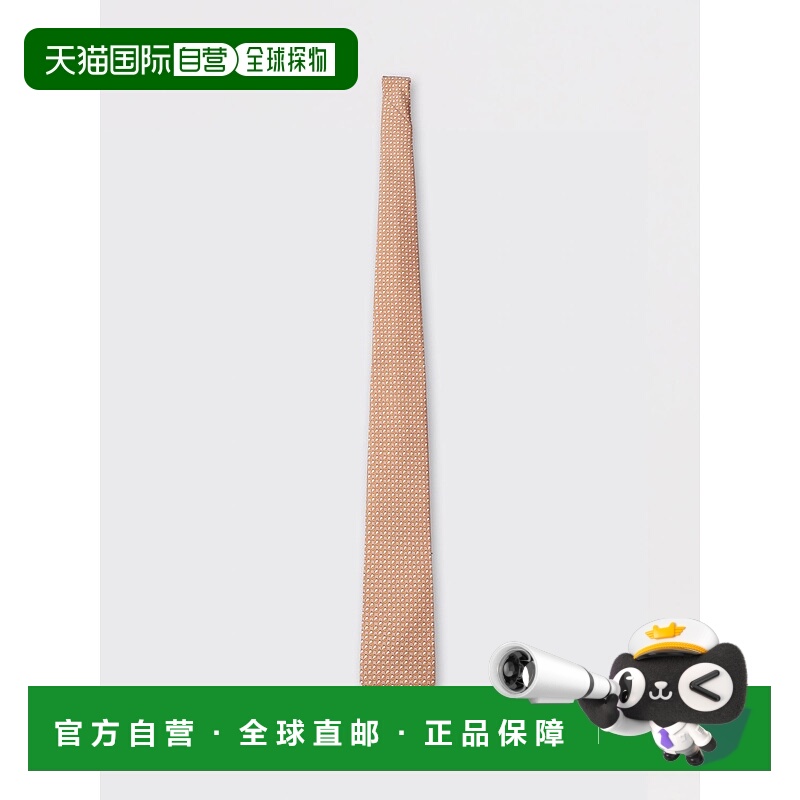 1h可退 欧洲直邮ferragamo 男士 领带