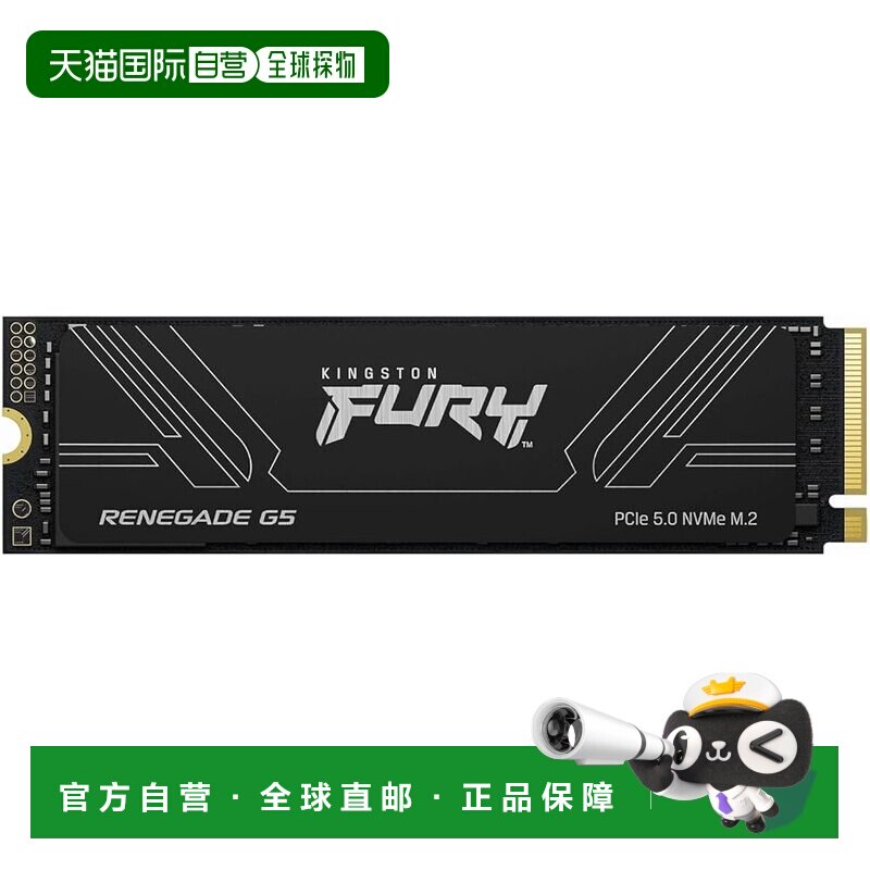 【日本直邮】金士顿 DDR5 2TB PCIe 5.0 NVMe