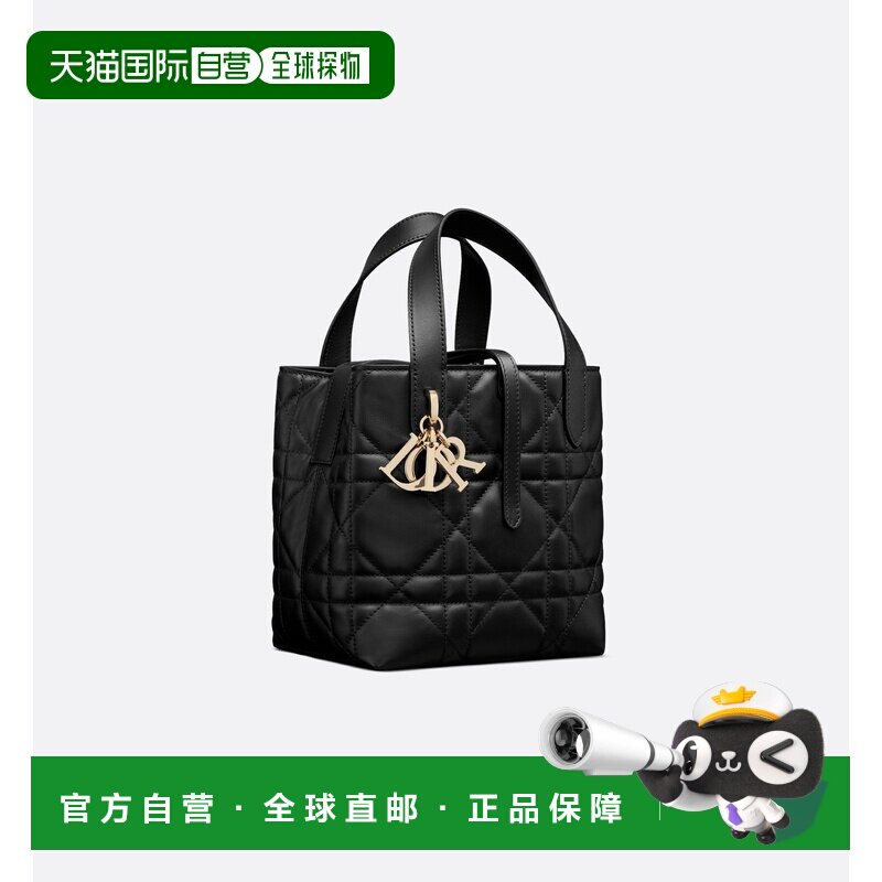 欧洲直邮Dior Toujours 小号竖版手提包单肩包斜挎包手袋