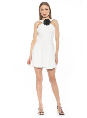 alexia admor【美国奥莱】直发 Alexi 连衣裙 - 象牙色