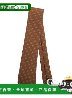 日本直邮ERRICO FORMICOLA男士经典小点纹领带 S24N303真丝