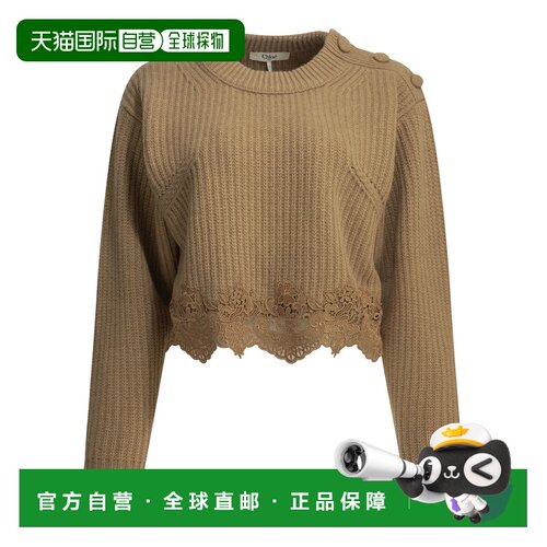 1h可退 香港直邮CHLOÉ 女士针织衫 CH26AMP18715218 AW2026 棕色