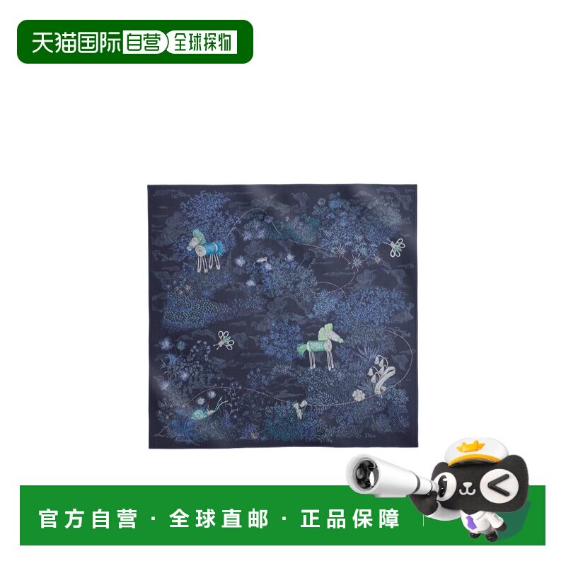 香港直邮奢淘 Dior 图案围巾 方巾配饰女 62TS140I0040