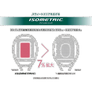 日本直邮仅拍框尤尼克斯男女 Percept 100L 网球比赛硬球拍 (YONE