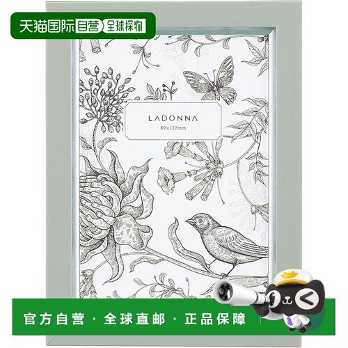 【日本直邮】LADONNA 相框 AVANTI SF13-L-BL 古董大号蓝色 09009