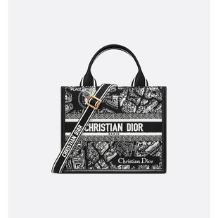 DIOR(迪奥)24年上新Dior Book Tote 小包