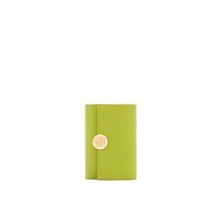 LOEWE 小钱包 罗意威 女士2024上新Pebble闪亮纳帕小牛皮竖式