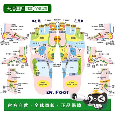 【日本直邮】BEVERLY 300片 足部穴位拼图