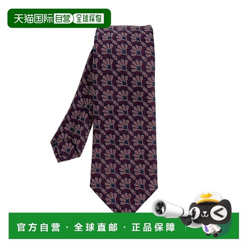 欧洲直邮etro 男士 领带