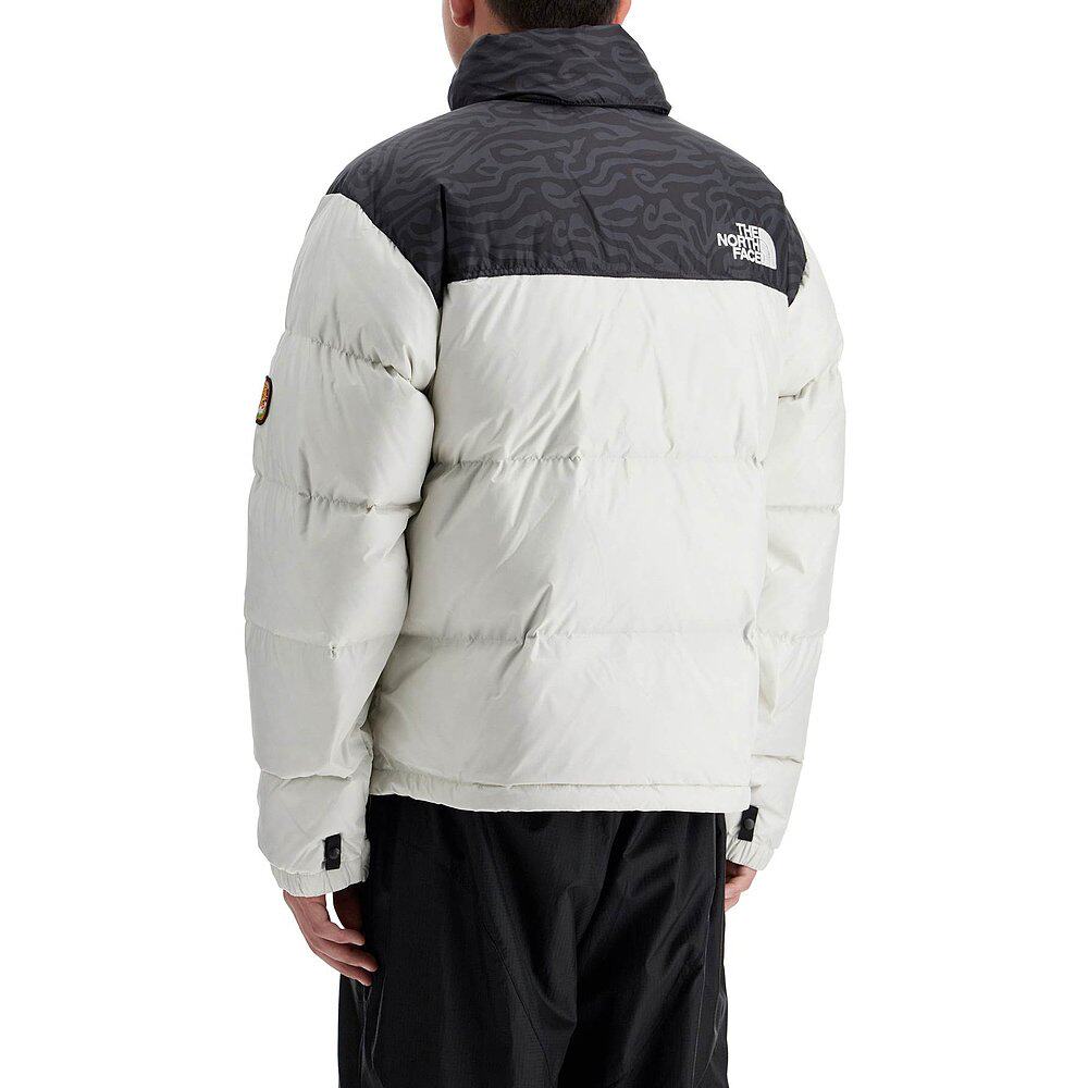 THE NORTH FACE 男士羽绒服 NF0A3C8D5IX AW2024 白色