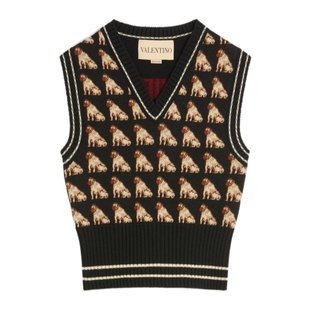 AW2025 BK400P9K3N78 花色 V领无袖 VALENTINO 针织衫 女士针织衫