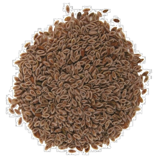 香港直发frontier co op全洋车前草壳呵护健康提升身体免疫力453g