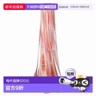 【日本直邮】Aderia阿德利亚 津轻玻璃 金彩小花瓶 樱花&云 粉色