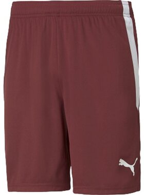 日本直邮PUMA TEAMLIGA 比赛裤足球训练服 705151-09