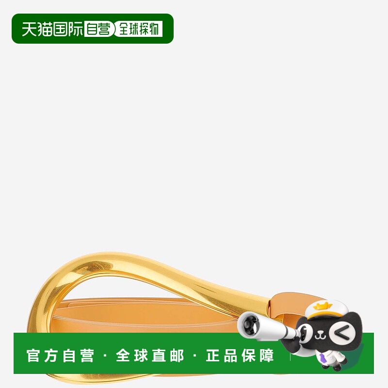 1h可退 香港直邮BOTTEGA VENETA 女士腰带 577041VMAU12700 SS202