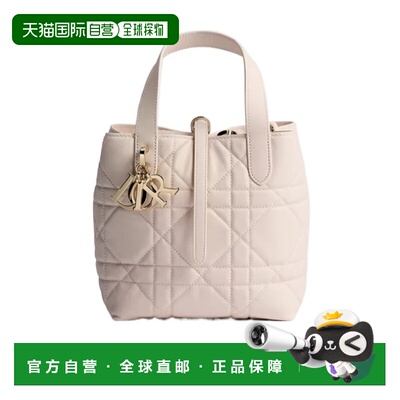 Dior 小号 Dior Toujours 垂直托特包 M2835OSNW单肩包手提包迪奥