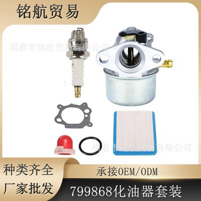 园林化油器套装 799868 498170 适用于 B&S 497586 498254 6150N