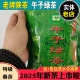 午子绿茶陕南茶叶2025新茶西乡炒青特产汉中仙毫散茶250g陕青特级