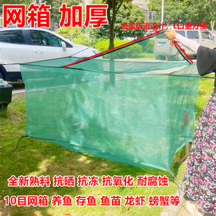 定制养鱼网箱存鱼龙虾螃蟹黄鳝水蛭鱼苗育苗网箱鱼网虾笼小型带盖