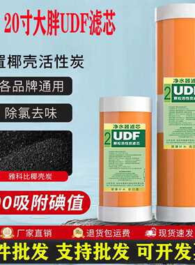 10寸20寸大胖子净水器大胖压缩颗粒活性碳棒滤芯前置过滤通用