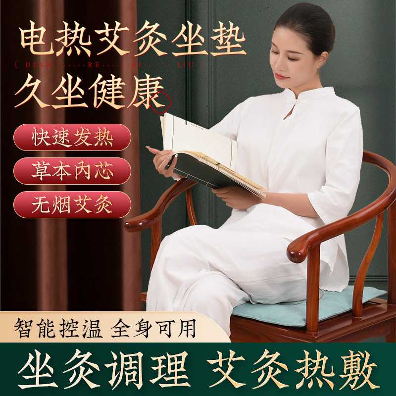 电加热艾绒坐垫艾灸垫艾草家用艾灸养身垫办公室车载坐垫椅垫