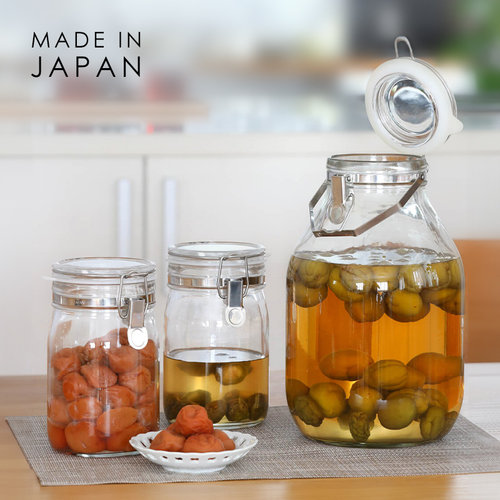 星硝日本进口泡酒梅酒瓶手提泡菜坛子青梅杨梅酿酒罐玻璃密封罐