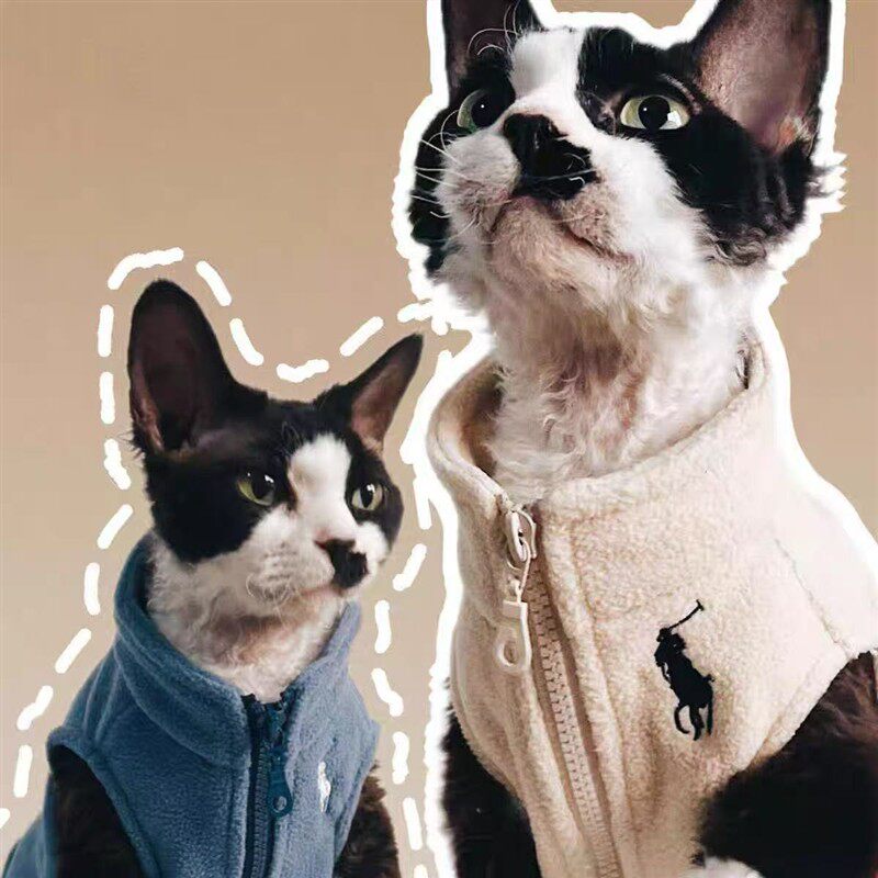 猫咪衣服冬装四色 劳夫拉伦拉链马甲中小型犬猫咪保暖棉衣