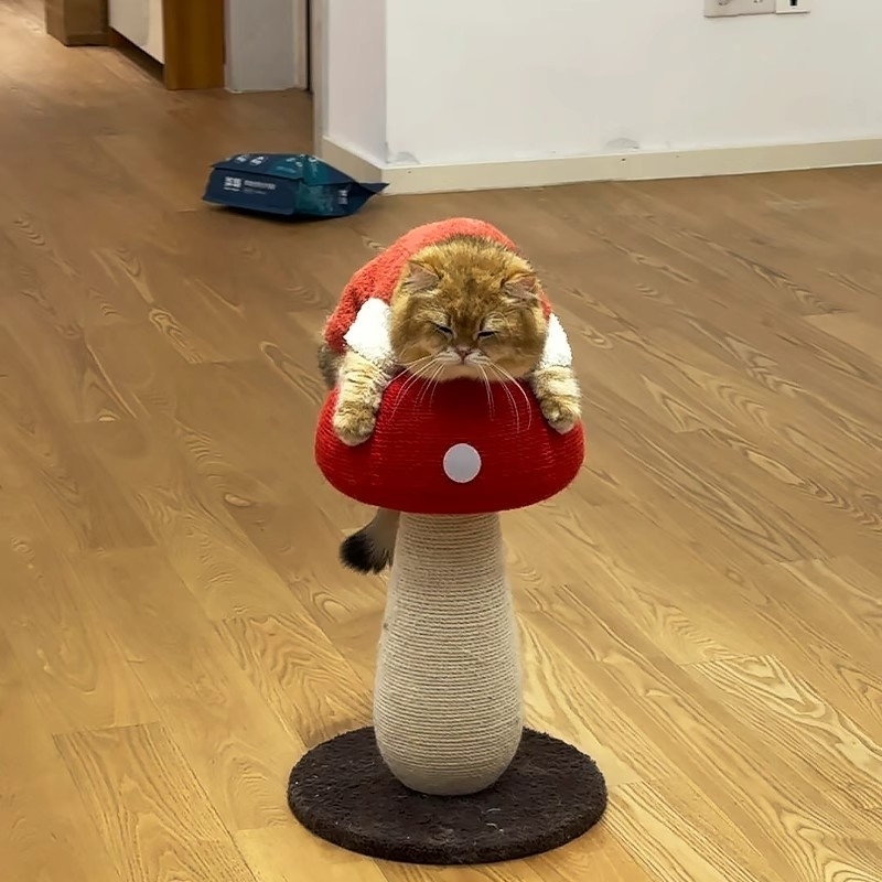 红伞蘑菇猫抓板耐磨不掉屑剑麻绳猫爬架一体立式猫咪玩具家用大号