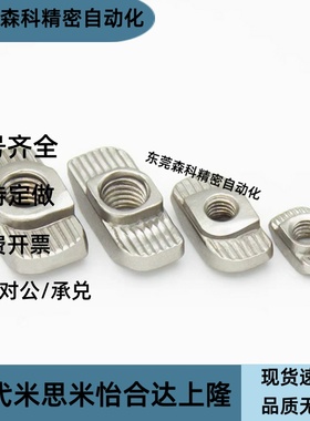 LNTN6/8/10-20/30/40/45-3/4/5/6/8-100P/T型螺母 欧标铝型材专用