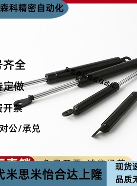 FGSS 22050 22080 22090 22120 22250 A B C D替代 气弹簧