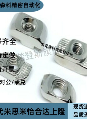 原装T型螺母TNUT-20 TNUT-30 TNUT-40 45-M3 M4 M5 M6 M8