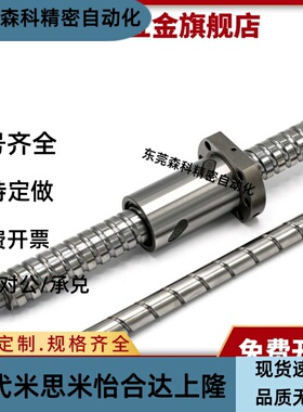 滚珠丝杆BSX BSS BSSE0601 1004 1202 1210 1505 2010 2520