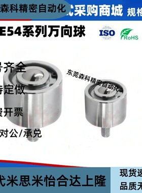 钢制万向球螺杆QDE54-19 QDE54-22 QDE54-25 QDE54-38/51挡圈固定