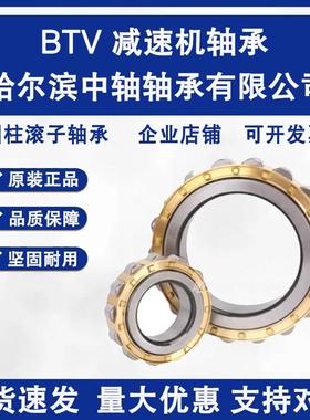 哈尔滨减速机轴承偏心 RN205 RN206 RN307 RN309 312 313 219222M