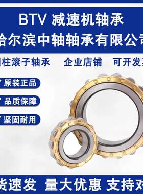 哈尔滨摆线针轮减速机偏心轴承