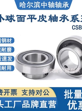 带顶丝轴承平面外圈 CSA CSB205 CSB206 207 208 209 210 204 203