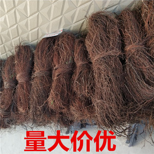 造景根须 榕树须龙须根藤条沉木杜鹃根装饰鱼缸造景草缸藤须