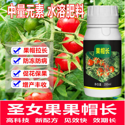 圣女果果帽拉长专用膨果靓果快速生根发芽番茄萼片拉长水溶肥料