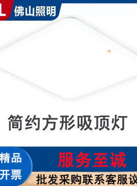 简约现代节能耐用FSL方形吸顶灯