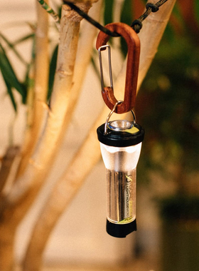 美国goalzero灯轻量化多功能户外露营灯手电筒IGT桌面灯露营神器