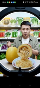 金粉丝瓜种子炒食凉拌菜园庭院爬藤蔬菜丝瓜鱼翅瓜植物海蜇瓜品种