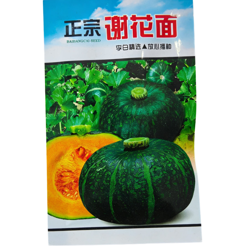 谢花面南瓜种子 东北农家菜园老品种落花面窝瓜庭院爬藤植物倭瓜