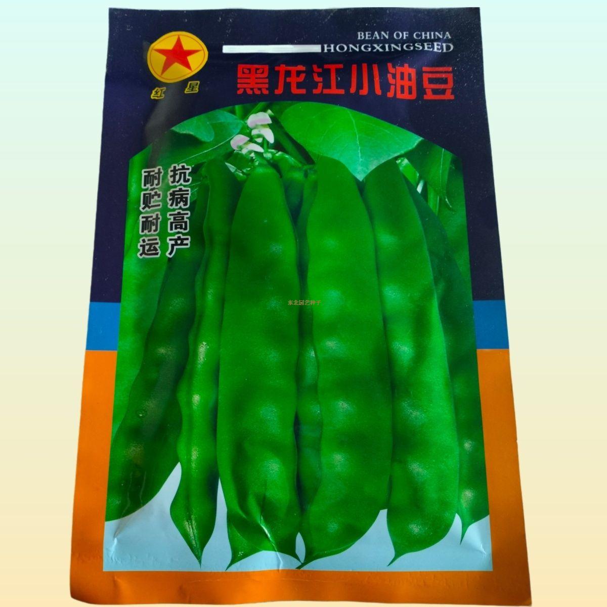 黑龙江小油豆种子65天中晚熟东北老品种紫花恋秋高产品种油豆角籽