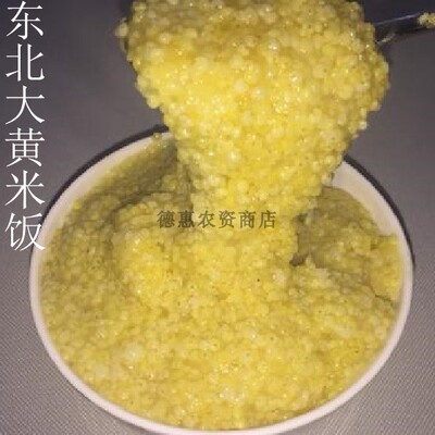 大黄米金龙种子东北粘黍黑糜1号