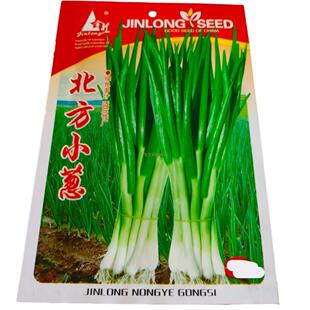 东北小葱种子农家院菜园阳台植物北方四季小葱种籽盆栽葱籽辣味浓