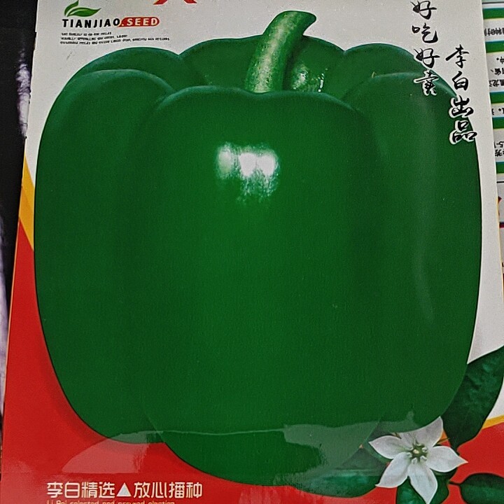 东北大甜椒种子 圆形不辣菜椒灯笼青椒农家中熟大辣椒耐低温少褶图片