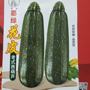 墨绿色花皮西葫芦种子东北老品种可冬储角瓜籽 煲汤做馅花纹蔬菜